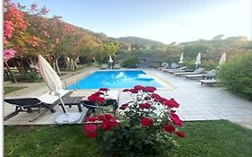 Montenegro Motel